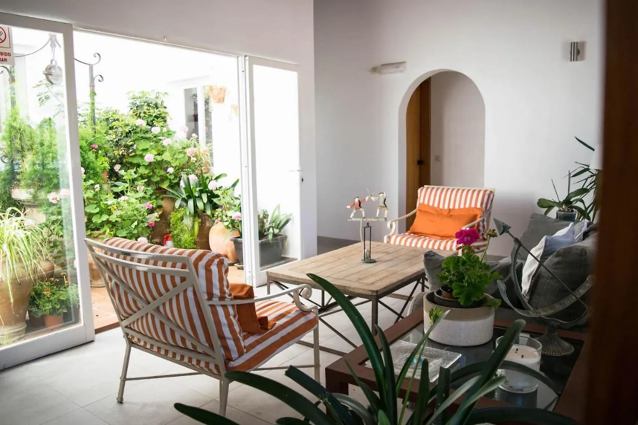 Villa Alexia - Apartment Isla - Sunny One Bedroom Apt - Balcony-Terrace Port de Pollenca